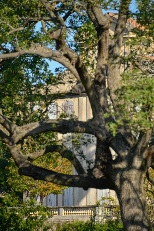 Photo du Château de Sérame