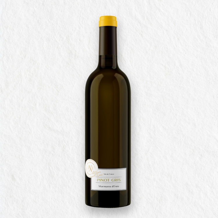 Murmures d'Exéa Pinot Gris: vin blanc bio